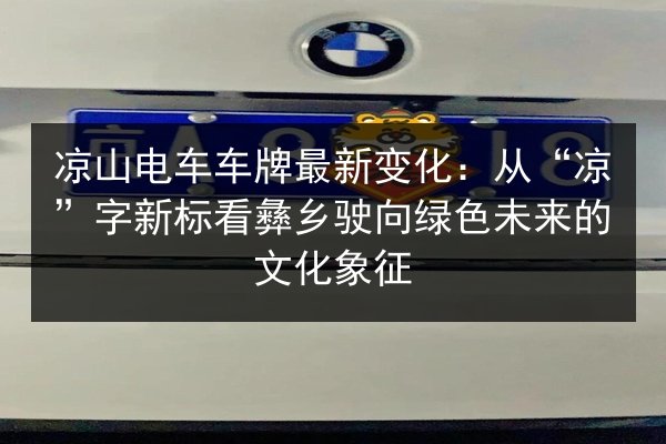 凉山电车车牌最新变化：从“凉”字新标看彝乡驶向绿色未来的文化象征
