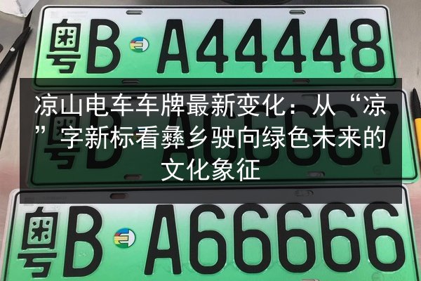 凉山电车车牌最新变化：从“凉”字新标看彝乡驶向绿色未来的文化象征 第3张