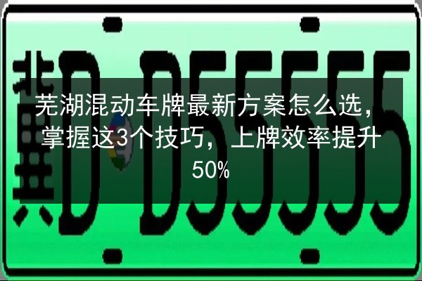 芜湖混动车牌最新方案怎么选，掌握这3个技巧，上牌效率提升50%