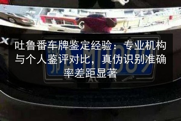 吐鲁番车牌鉴定经验：专业机构与个人鉴评对比，真伪识别准确率差距显著 第2张