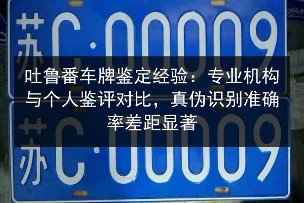 吐鲁番车牌鉴定经验：专业机构与个人鉴评对比，真伪识别准确率差距显著 第3张