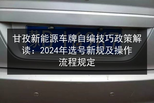 甘孜新能源车牌自编技巧政策解读：2024年选号新规及操作流程规定