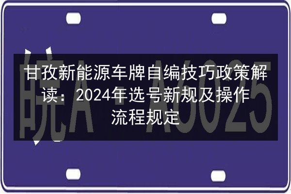 甘孜新能源车牌自编技巧政策解读：2024年选号新规及操作流程规定 第2张