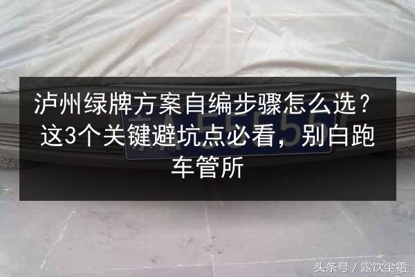 泸州绿牌方案自编步骤怎么选？这3个关键避坑点必看，别白跑车管所