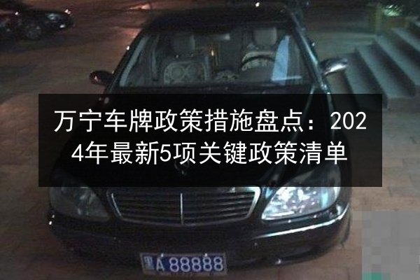 万宁车牌政策措施盘点：2024年最新5项关键政策清单