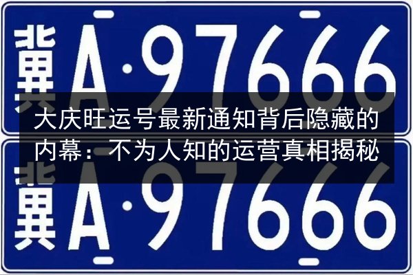 大庆旺运号最新通知背后隐藏的内幕：不为人知的运营真相揭秘