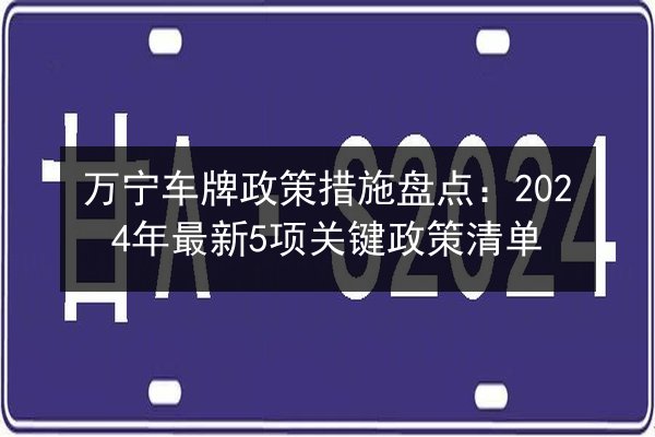 万宁车牌政策措施盘点：2024年最新5项关键政策清单 第3张