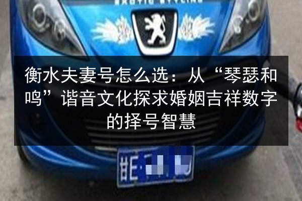 衡水夫妻号怎么选:从“琴瑟和鸣”谐音文化探求婚姻吉祥数字的择号智慧 第1张 衡水夫妻号怎么选:从“琴瑟和鸣”谐音文化探求婚姻吉祥数字的择号智慧 第1张