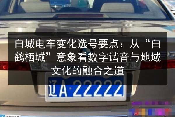 白城电车变化选号要点：从“白鹤栖城”意象看数字谐音与地域文化的融合之道