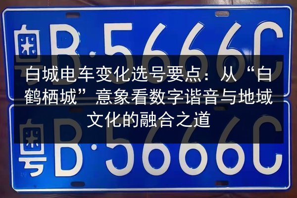 白城电车变化选号要点：从“白鹤栖城”意象看数字谐音与地域文化的融合之道 第2张