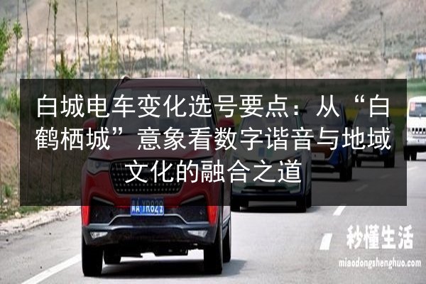 白城电车变化选号要点：从“白鹤栖城”意象看数字谐音与地域文化的融合之道 第3张