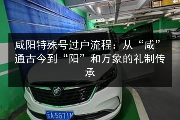 咸阳特殊号过户流程：从“咸”通古今到“阳”和万象的礼制传承 第2张