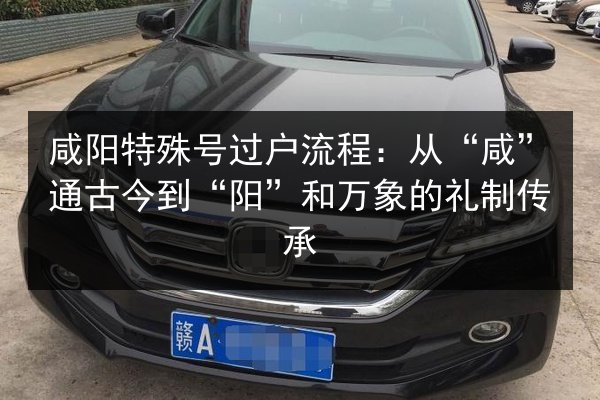 咸阳特殊号过户流程：从“咸”通古今到“阳”和万象的礼制传承 第3张