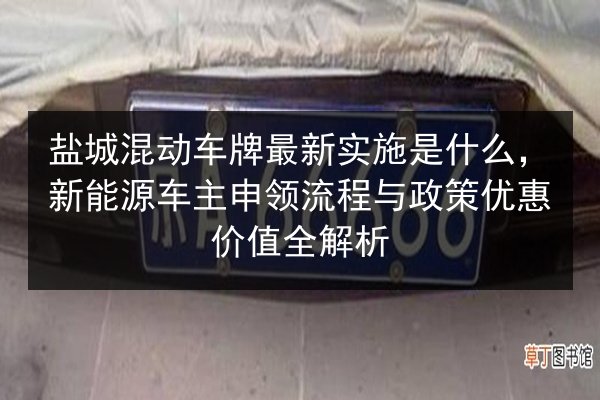 盐城混动车牌最新实施是什么，新能源车主申领流程与政策优惠价值全解析