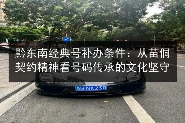 黔东南经典号补办条件:从苗侗契约精神看号码传承的文化坚守 第2张 黔东南经典号补办条件:从苗侗契约精神看号码传承的文化坚守 第2张