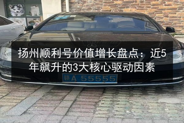 扬州顺利号价值增长盘点：近5年飙升的3大核心驱动因素