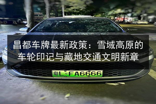 昌都车牌最新政策：雪域高原的车轮印记与藏地交通文明新章 第2张