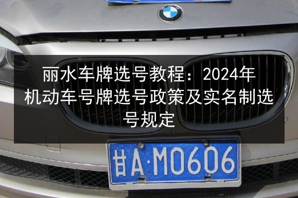 丽水车牌选号教程：2024年机动车号牌选号政策及实名制选号规定 第2张