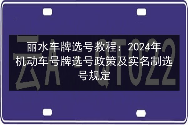 丽水车牌选号教程：2024年机动车号牌选号政策及实名制选号规定 第3张
