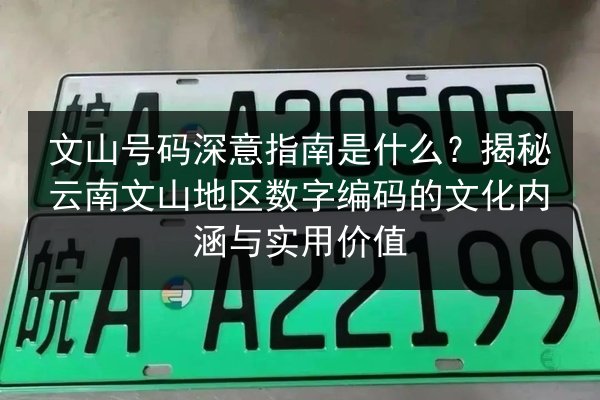 文山号码深意指南是什么？揭秘云南文山地区数字编码的文化内涵与实用价值 第2张