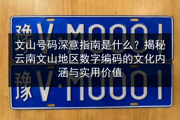文山号码深意指南是什么？揭秘云南文山地区数字编码的文化内涵与实用价值 第3张