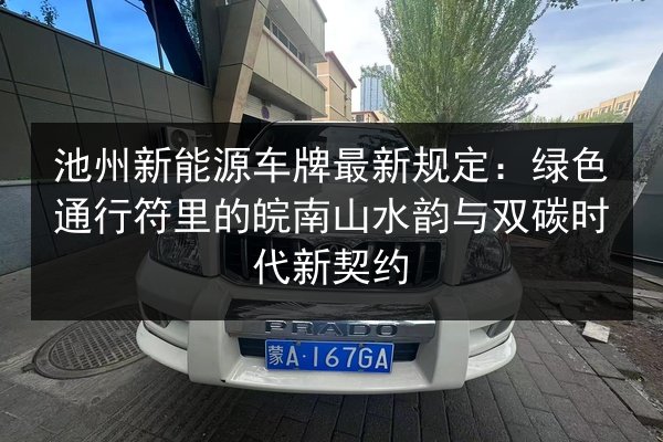 池州新能源车牌最新规定:绿色通行符里的皖南山水韵与双碳时代新契约 第2张 池州新能源车牌最新规定:绿色通行符里的皖南山水韵与双碳时代新契约 第2张