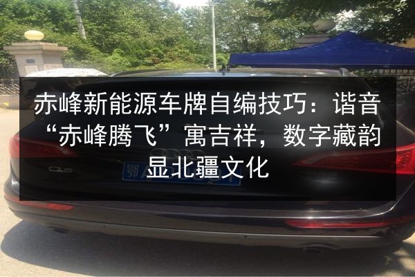 赤峰新能源车牌自编技巧：谐音“赤峰腾飞”寓吉祥，数字藏韵显北疆文化 第3张