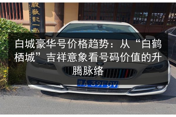 白城豪华号价格趋势:从“白鹤栖城”吉祥意象看号码价值的升腾脉络 第3张 白城豪华号价格趋势:从“白鹤栖城”吉祥意象看号码价值的升腾脉络 第3张
