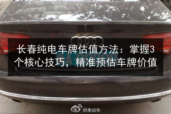 长春纯电车牌估值方法：掌握3个核心技巧，精准预估车牌价值