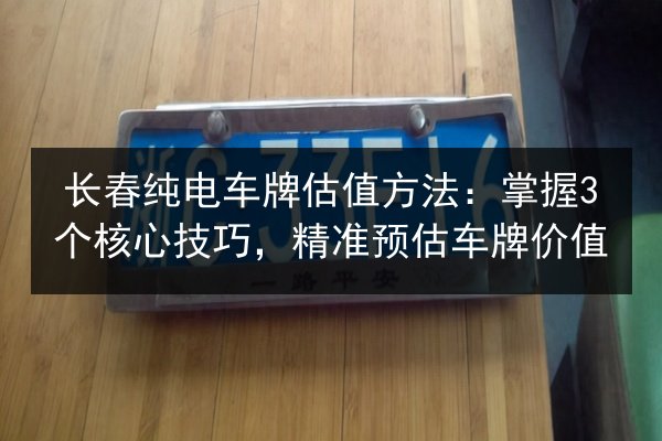 长春纯电车牌估值方法：掌握3个核心技巧，精准预估车牌价值 第2张