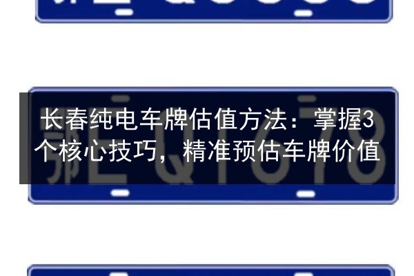 长春纯电车牌估值方法：掌握3个核心技巧，精准预估车牌价值 第3张