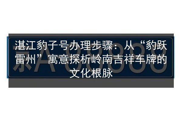 湛江豹子号办理步骤：从“豹跃雷州”寓意探析岭南吉祥车牌的文化根脉