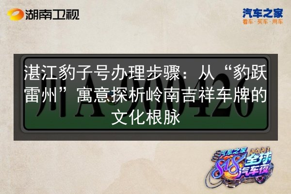 湛江豹子号办理步骤：从“豹跃雷州”寓意探析岭南吉祥车牌的文化根脉 第2张