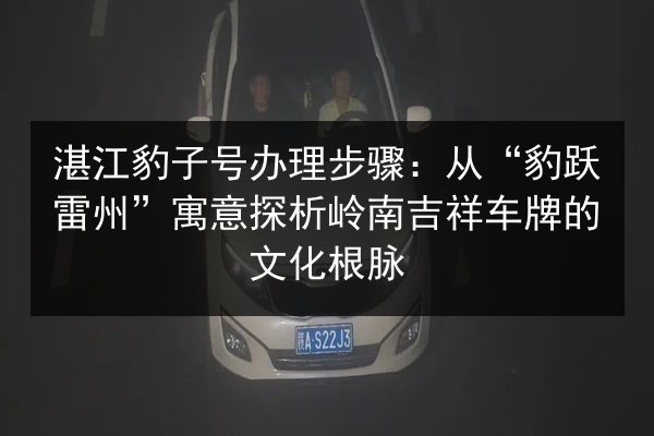 湛江豹子号办理步骤：从“豹跃雷州”寓意探析岭南吉祥车牌的文化根脉 第3张