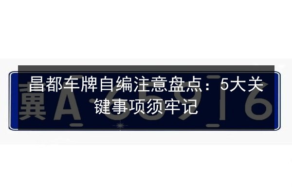 昌都车牌自编注意盘点:5大关键事项须牢记 第2张 昌都车牌自编注意盘点:5大关键事项须牢记 第2张