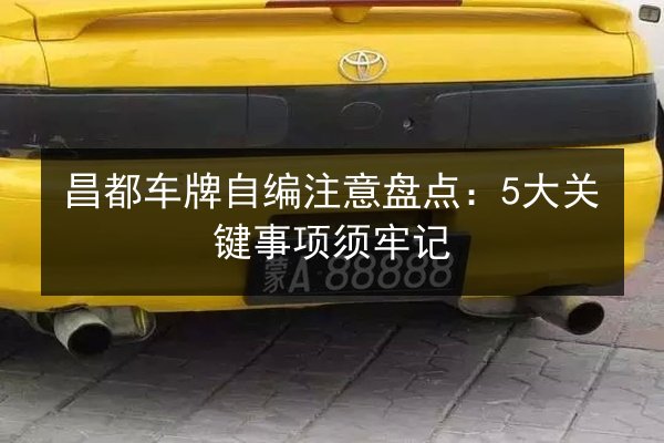 昌都车牌自编注意盘点:5大关键事项须牢记 第3张 昌都车牌自编注意盘点:5大关键事项须牢记 第3张