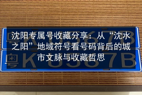 沈阳专属号收藏分享:从“沈水之阳”地域符号看号码背后的城市文脉与收藏哲思 第3张 沈阳专属号收藏分享:从“沈水之阳”地域符号看号码背后的城市文脉与收藏哲思 第3张