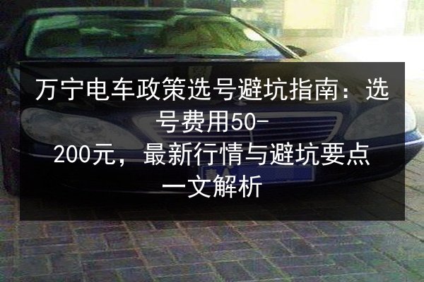万宁电车政策选号避坑指南：选号费用50-200元，最新行情与避坑要点一文解析