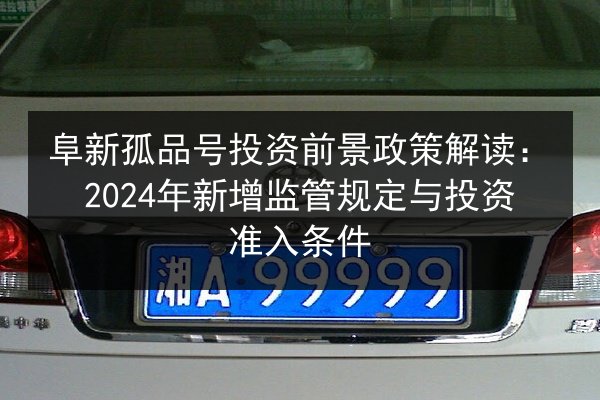 阜新孤品号投资前景政策解读：2024年新增监管规定与投资准入条件 第2张