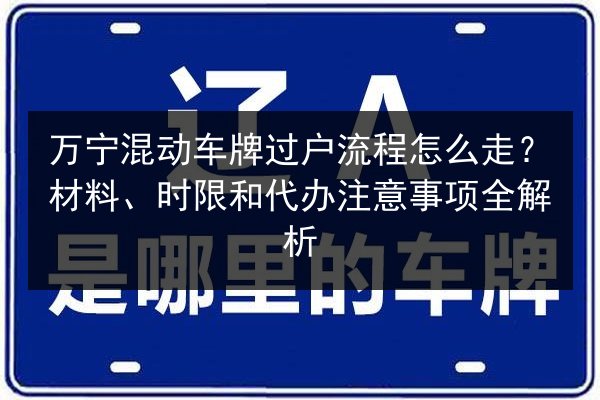 万宁混动车牌过户流程怎么走？材料、时限和代办注意事项全解析
