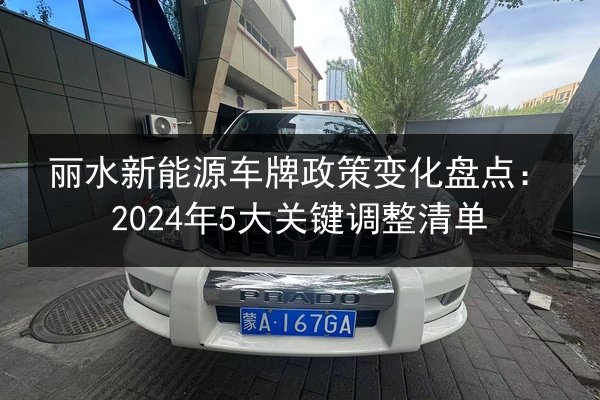 丽水新能源车牌政策变化盘点:2024年5大关键调整清单 第3张 丽水新能源车牌政策变化盘点:2024年5大关键调整清单 第3张