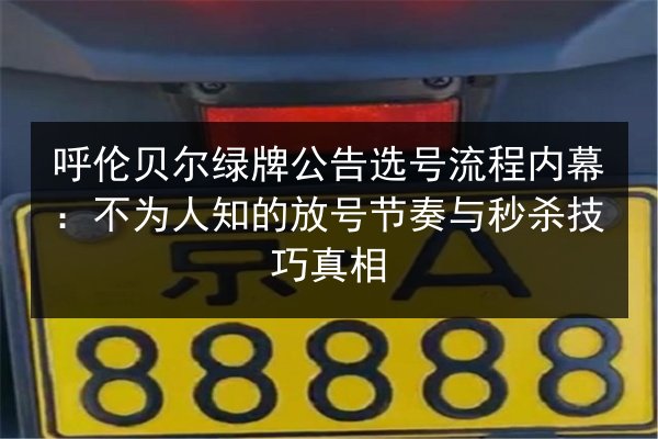 呼伦贝尔绿牌公告选号流程内幕：不为人知的放号节奏与秒杀技巧真相