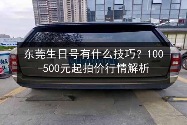 东莞生日号有什么技巧？100-500元起拍价行情解析 第2张
