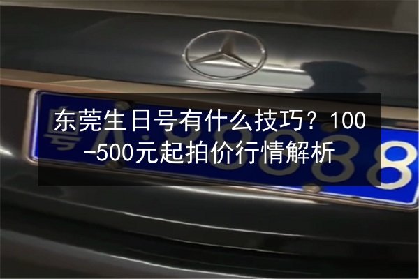 东莞生日号有什么技巧？100-500元起拍价行情解析 第3张