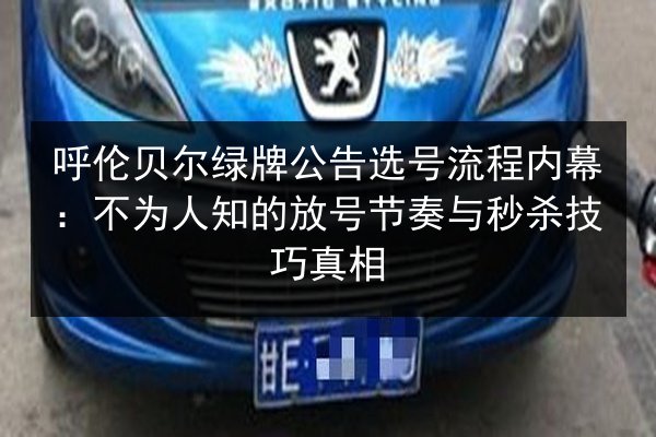 呼伦贝尔绿牌公告选号流程内幕:不为人知的放号节奏与秒杀技巧真相 第3张 呼伦贝尔绿牌公告选号流程内幕:不为人知的放号节奏与秒杀技巧真相 第3张