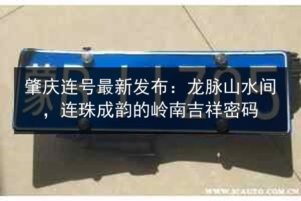 肇庆连号最新发布：龙脉山水间，连珠成韵的岭南吉祥密码 第2张