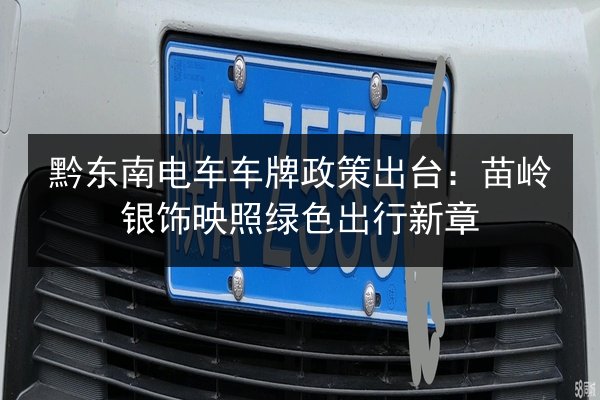 黔东南电车车牌政策出台:苗岭银饰映照绿色出行新章 第2张 黔东南电车车牌政策出台:苗岭银饰映照绿色出行新章 第2张