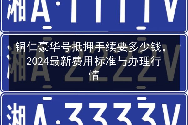 铜仁豪华号抵押手续要多少钱，2024最新费用标准与办理行情