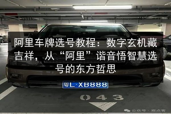 阿里车牌选号教程:数字玄机藏吉祥,从“阿里”谐音悟智慧选号的东方哲思 第3张 阿里车牌选号教程:数字玄机藏吉祥,从“阿里”谐音悟智慧选号的东方哲思 第3张