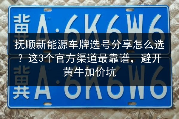 抚顺新能源车牌选号分享怎么选？这3个官方渠道最靠谱，避开黄牛加价坑 第3张